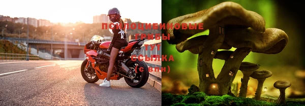 MDMA Медвежьегорск