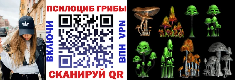 Купить  Чебоксары  Псилоцибиновые грибы Psilocybine cubensis 